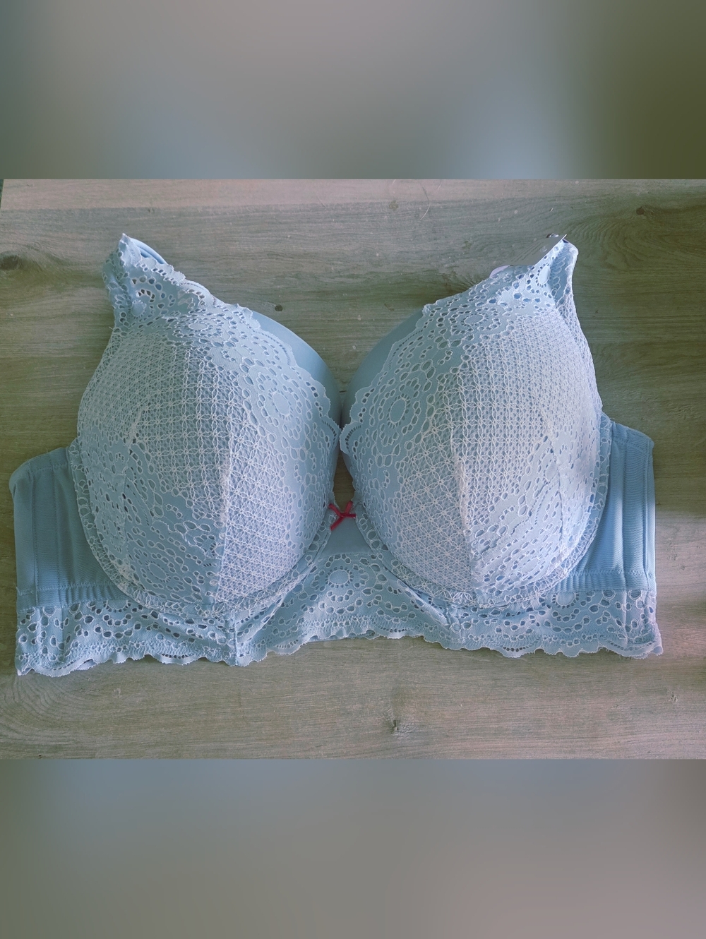 Light Blue Eyelet Boost Plunge Bra